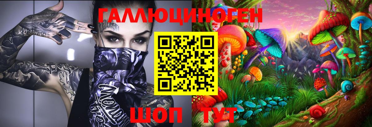 Галлюциногенные грибы Magic Shrooms  Галлюциногенные грибы мицелий  Вход с VPN  Гатчина 